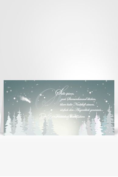 Weihnachtskarte mit Gedicht, Artikel-Nr:W-008