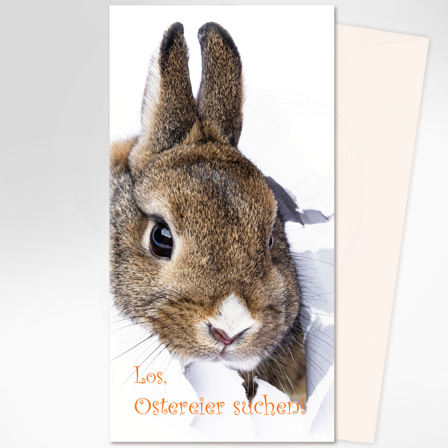 Los, Ostereier suchen, brauner Hase, champagner Briefumschlag, Artikel-Nr.: O-301