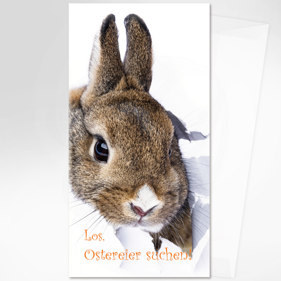 Los, Ostereier suchen, brauner Hase, transparenter Briefumschlag, Artikel-Nr.: O-301